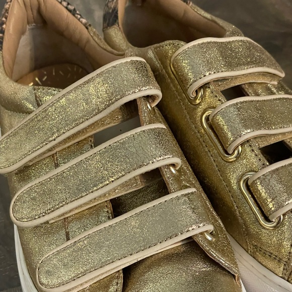 Designer Sneakers - Picture 11 of 12